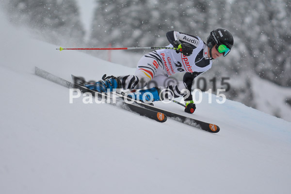 FIS SG + NJC Superkombi Damen 2015