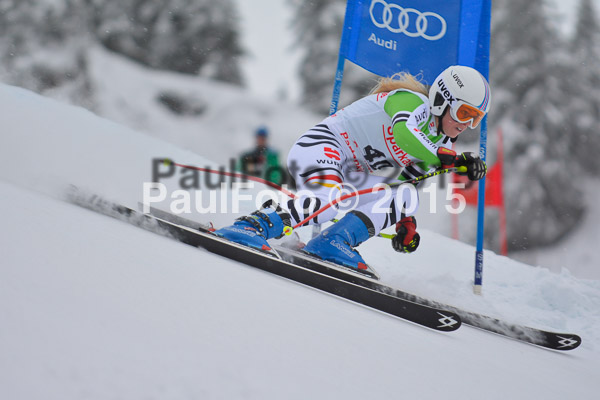 FIS SG + NJC Superkombi Damen 2015