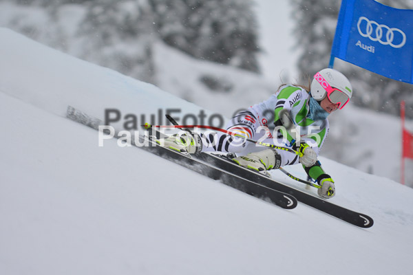 FIS SG + NJC Superkombi Damen 2015