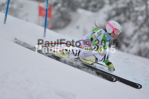 FIS SG + NJC Superkombi Damen 2015