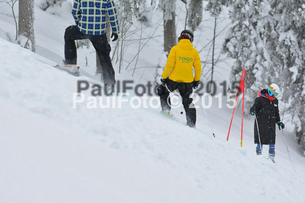 FIS SG + NJC Superkombi Damen 2015
