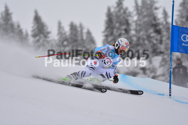 FIS SG + NJC Superkombi Damen 2015