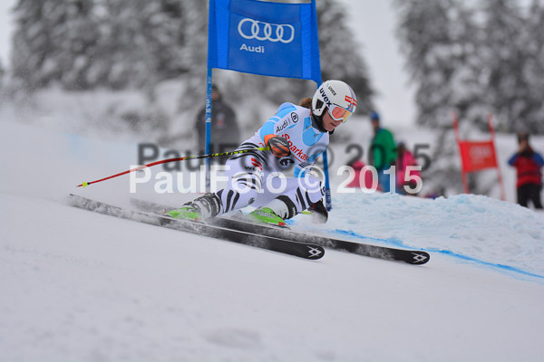 FIS SG + NJC Superkombi Damen 2015