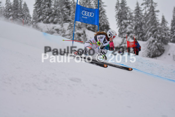 FIS SG + NJC Superkombi Damen 2015