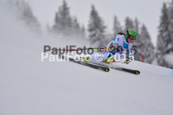 FIS SG + NJC Superkombi Damen 2015