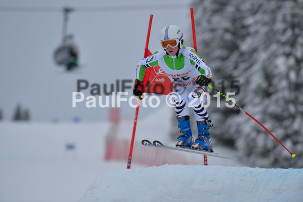 FIS SG + NJC Superkombi Damen 2015