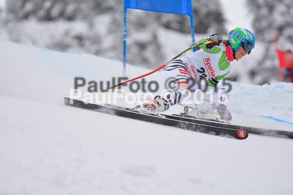 FIS SG + NJC Superkombi Damen 2015