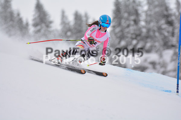 FIS SG + NJC Superkombi Damen 2015