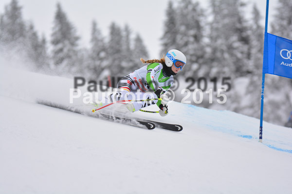 FIS SG + NJC Superkombi Damen 2015