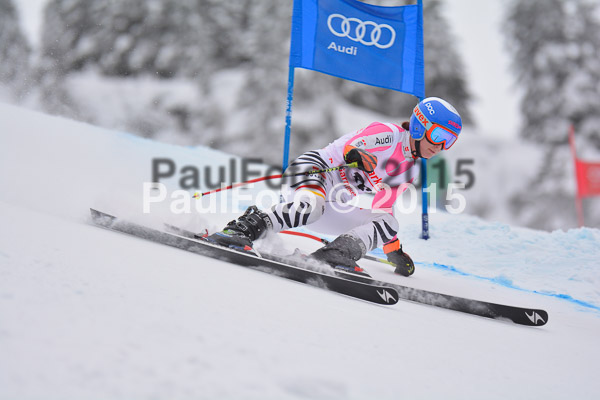 FIS SG + NJC Superkombi Damen 2015
