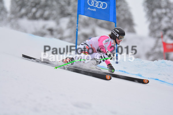 FIS SG + NJC Superkombi Damen 2015