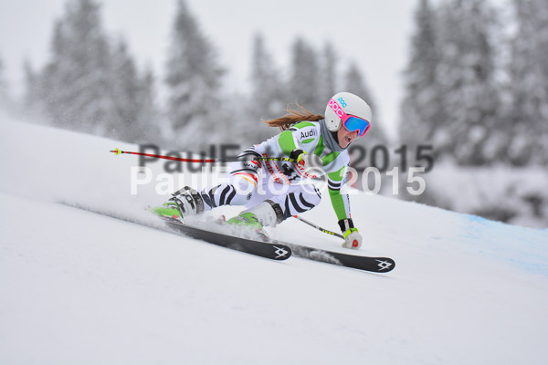 FIS SG + NJC Superkombi Damen 2015