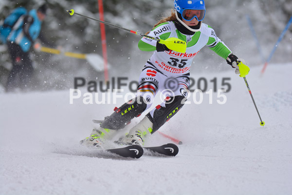 FIS SG + NJC Superkombi Damen 2015