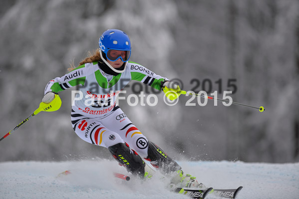 FIS SG + NJC Superkombi Damen 2015