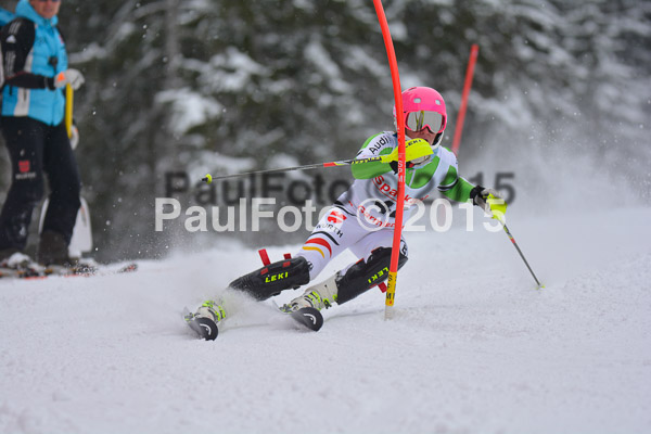 FIS SG + NJC Superkombi Damen 2015