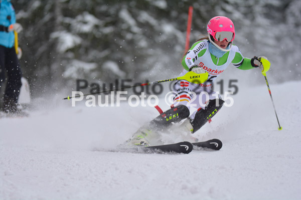 FIS SG + NJC Superkombi Damen 2015
