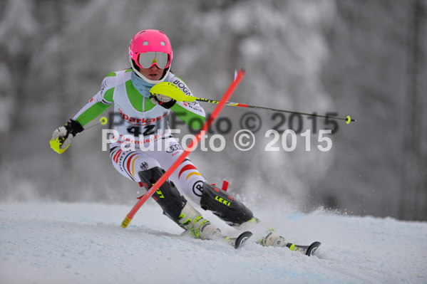 FIS SG + NJC Superkombi Damen 2015