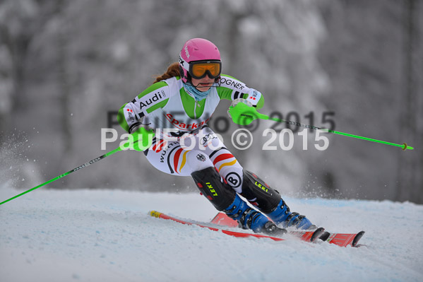 FIS SG + NJC Superkombi Damen 2015