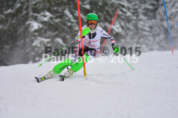 FIS SG + NJC Superkombi Damen 2015