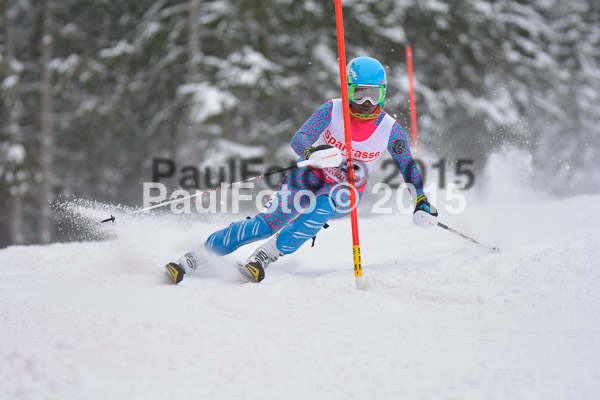 FIS SG + NJC Superkombi Damen 2015