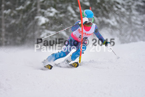 FIS SG + NJC Superkombi Damen 2015