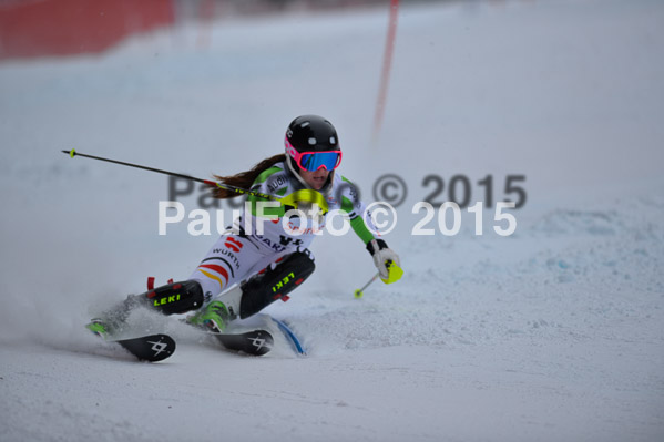 FIS SG + NJC Superkombi Damen 2015