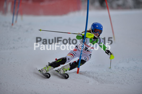 FIS SG + NJC Superkombi Damen 2015