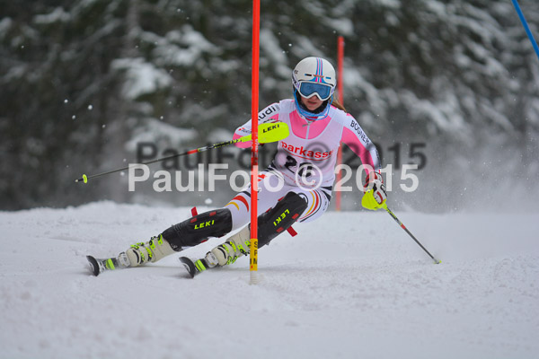 FIS SG + NJC Superkombi Damen 2015