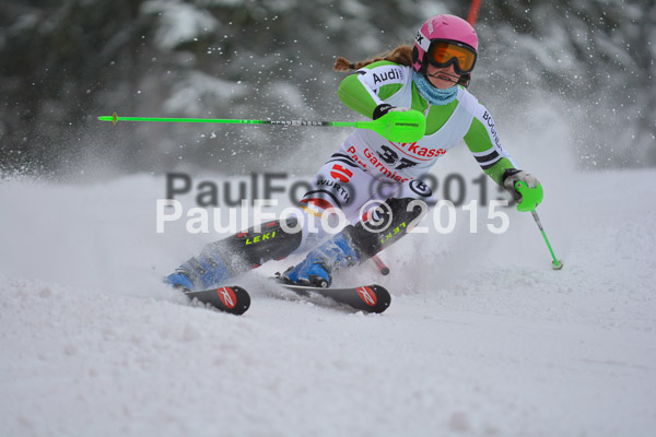 FIS SG + NJC Superkombi Damen 2015