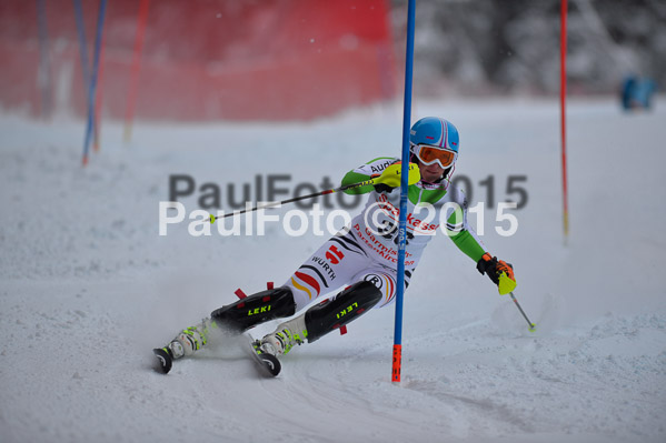 FIS SG + NJC Superkombi Damen 2015