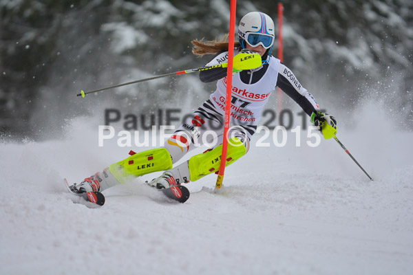 FIS SG + NJC Superkombi Damen 2015