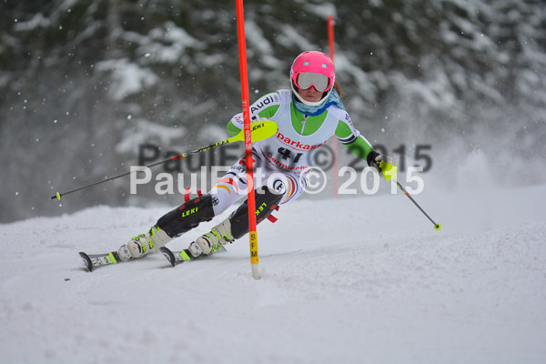 FIS SG + NJC Superkombi Damen 2015