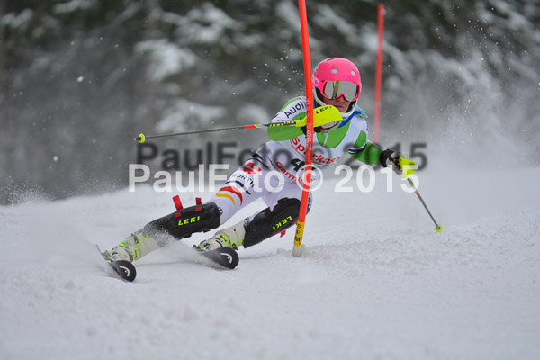 FIS SG + NJC Superkombi Damen 2015