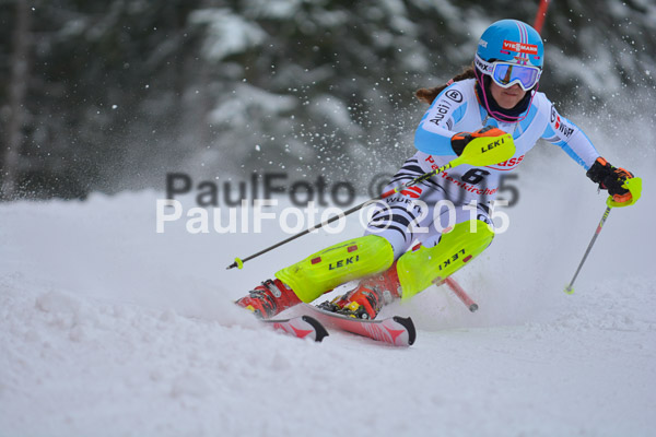 FIS SG + NJC Superkombi Damen 2015