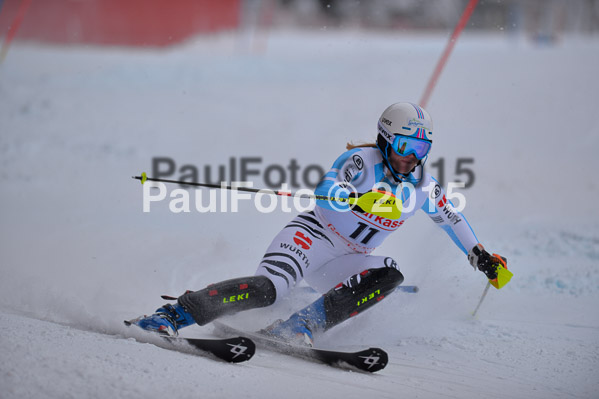 FIS SG + NJC Superkombi Damen 2015