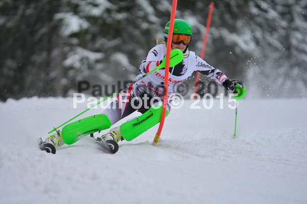 FIS SG + NJC Superkombi Damen 2015