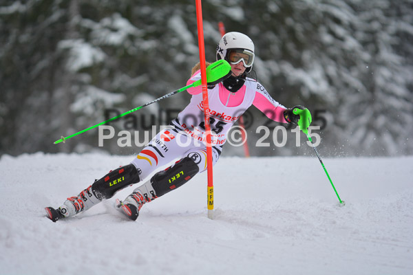 FIS SG + NJC Superkombi Damen 2015