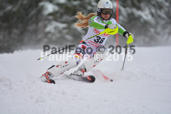 FIS SG + NJC Superkombi Damen 2015