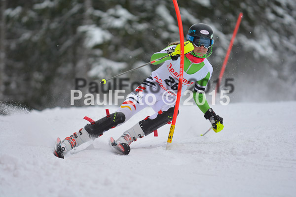FIS SG + NJC Superkombi Damen 2015