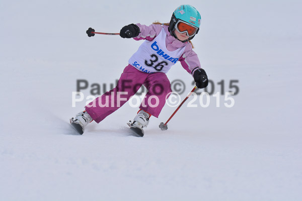 Armins Sorthäusle Pokal 2015