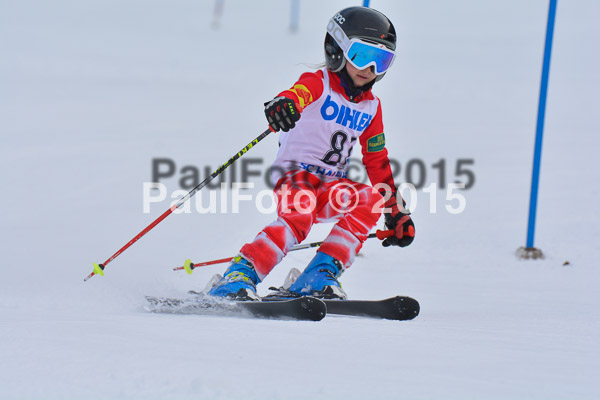Armins Sorthäusle Pokal 2015