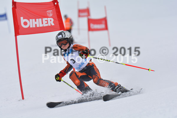 Armins Sorthäusle Pokal 2015