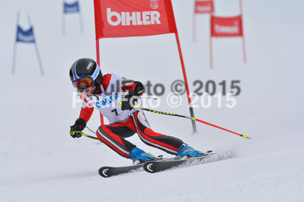 Armins Sorthäusle Pokal 2015