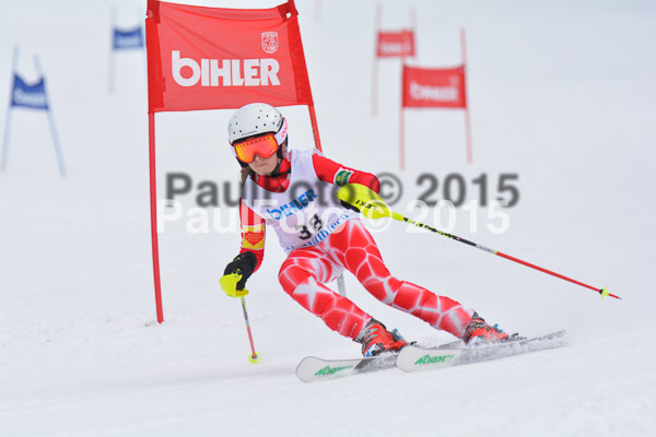 Armins Sorthäusle Pokal 2015