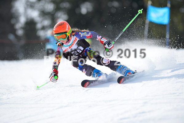 4. Zienercup WF 2015
