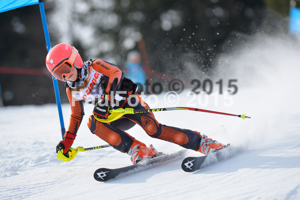 4. Zienercup WF 2015