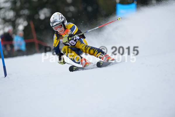 4. Zienercup WF 2015