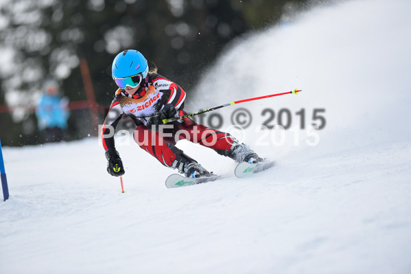 4. Zienercup WF 2015