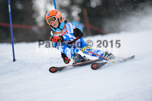 4. Zienercup WF 2015