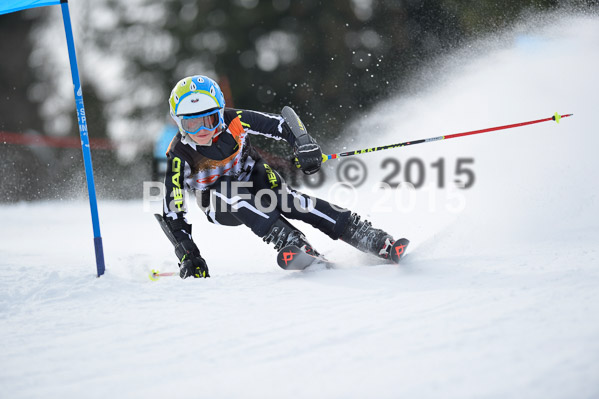 4. Zienercup WF 2015